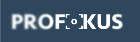 Weißes PROFOKUS Logo zum Download ohne Hintergrund